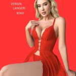 8060 Vergin
